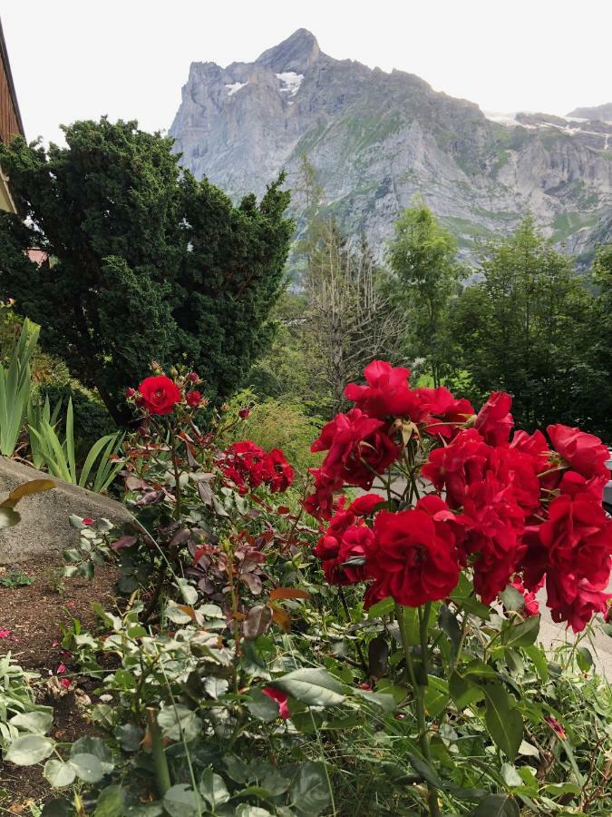 Zur Hoehe Apartmán Grindelwald